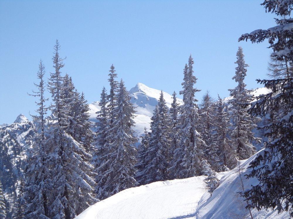 Apartment Hinkerhof Schladming Dış mekan fotoğraf